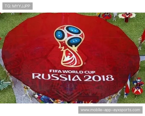 世界杯赛事城市医疗绿色通道获得高度认可 世界杯赛事城市医疗绿色通道获得高度认可