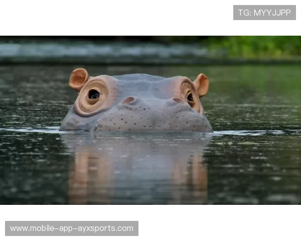 世界游泳挑战赛惊现“水中神兽”，网友看呆