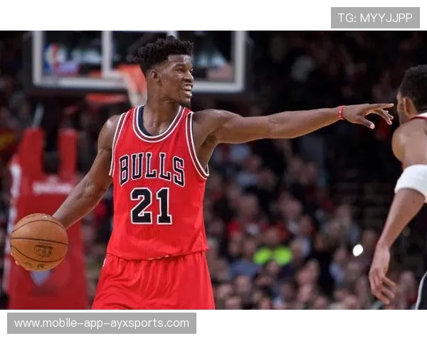 公牛队引援成功,重塑冠军梦想,公牛队官方网站 公牛队引援成功,重塑冠军梦想,公牛队官方网站