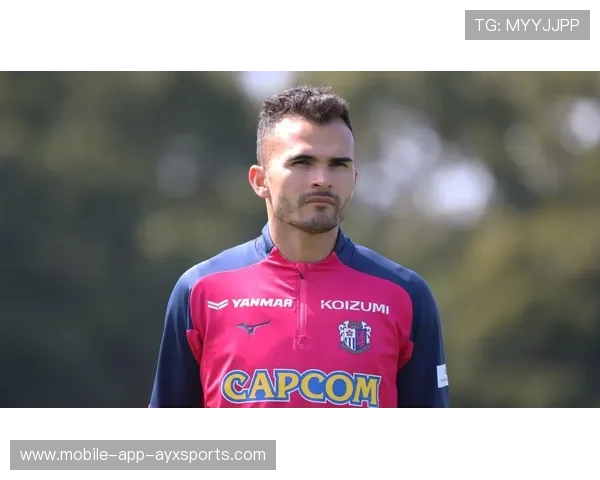 费尔南德斯式传球战术席卷联赛 费尔南德斯式传球战术席卷联赛